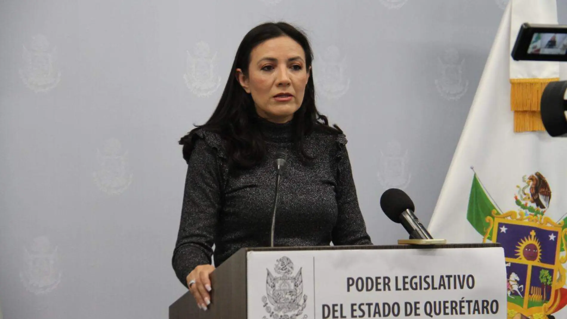 Paloma Arce-Legislatura